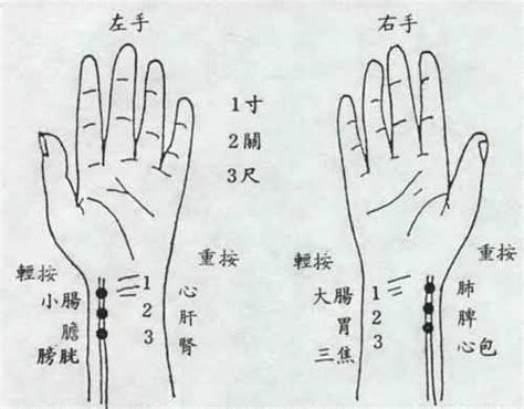 脈相 浮滑|【脈象學說】十二種常見脈象簡述－攜手中醫講堂